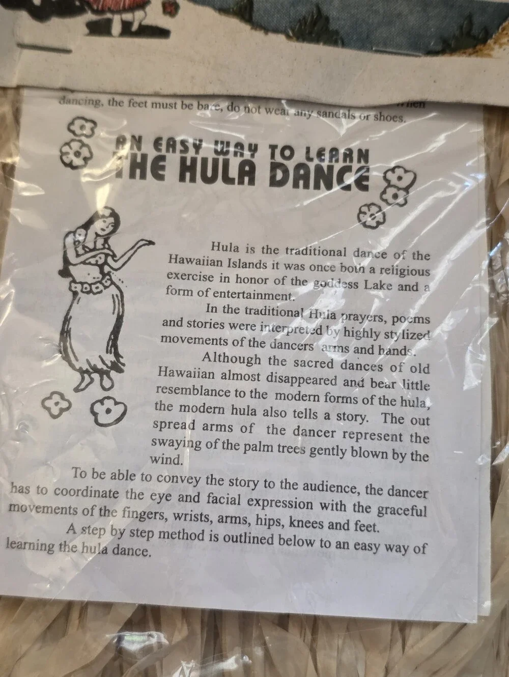 Vintage Hula costume